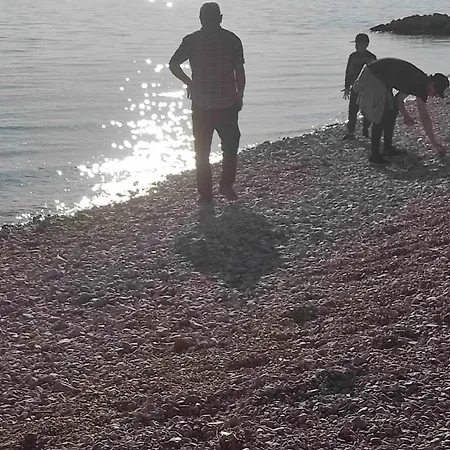 Pemper 노비비노돌스키